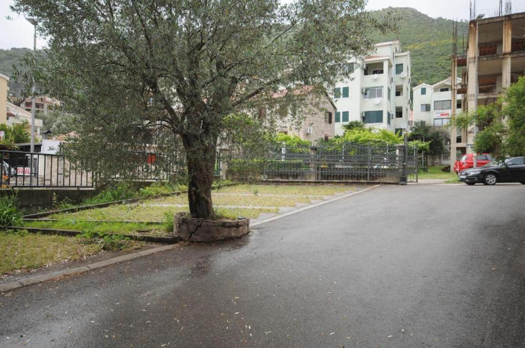 Apartment Jana Petrovac ภายนอก รูปภาพ